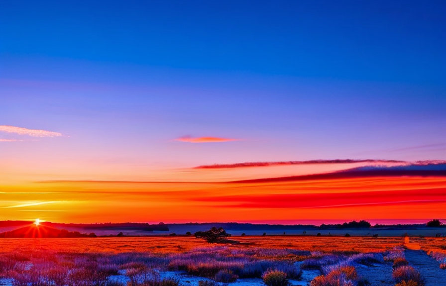Landscape photo with blue sky and orange sunset
