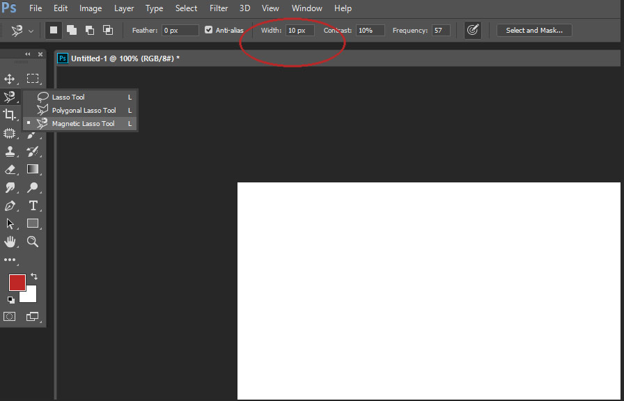 Tips on How to Use the Lasso Tool in