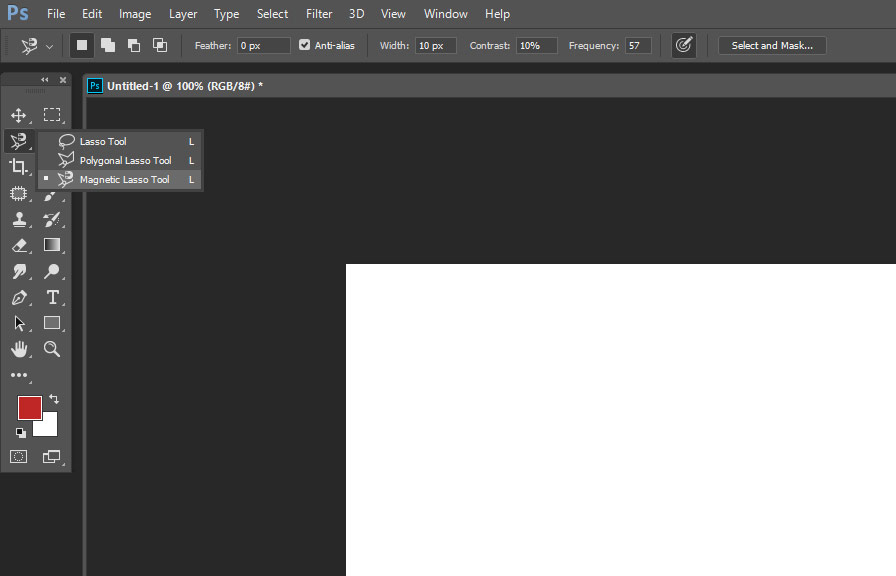 Using the Magnetic Lasso Tool in Photoshop to select an object