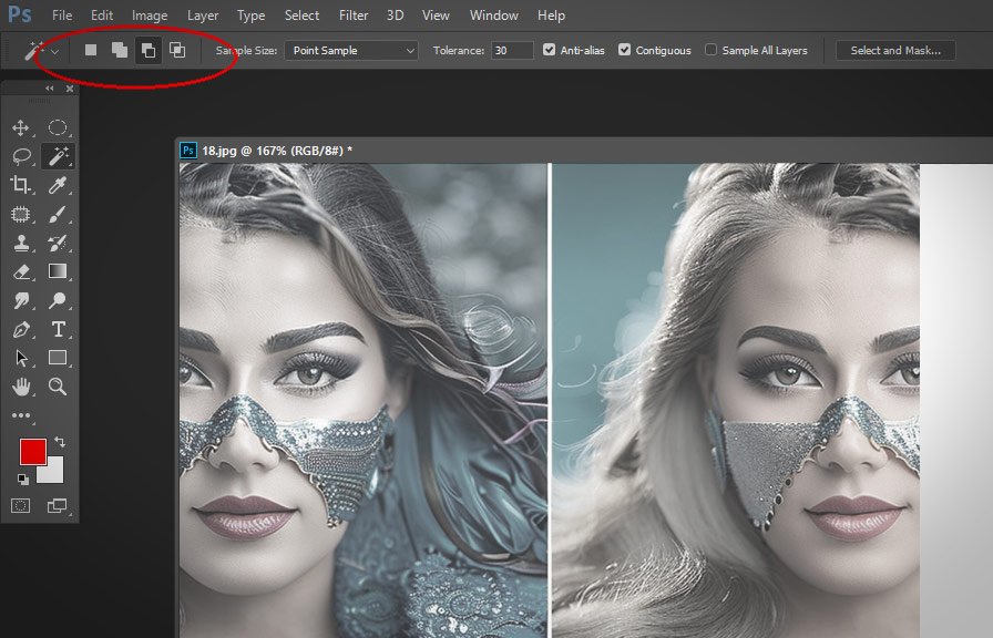 Unravel the Magic of the Subtract from Selection Tool in Photoshop