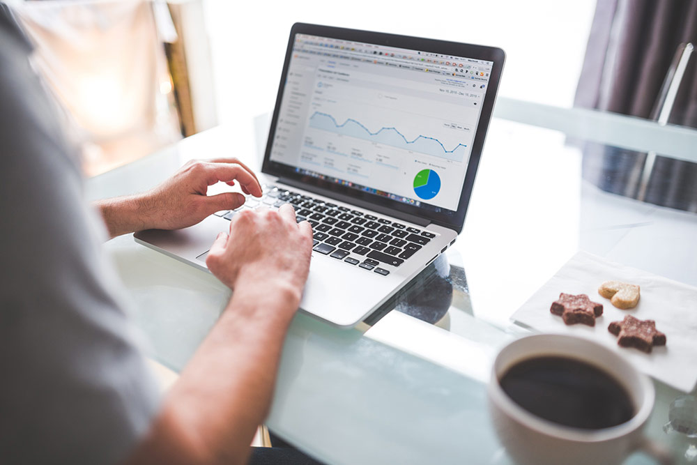 seo experts