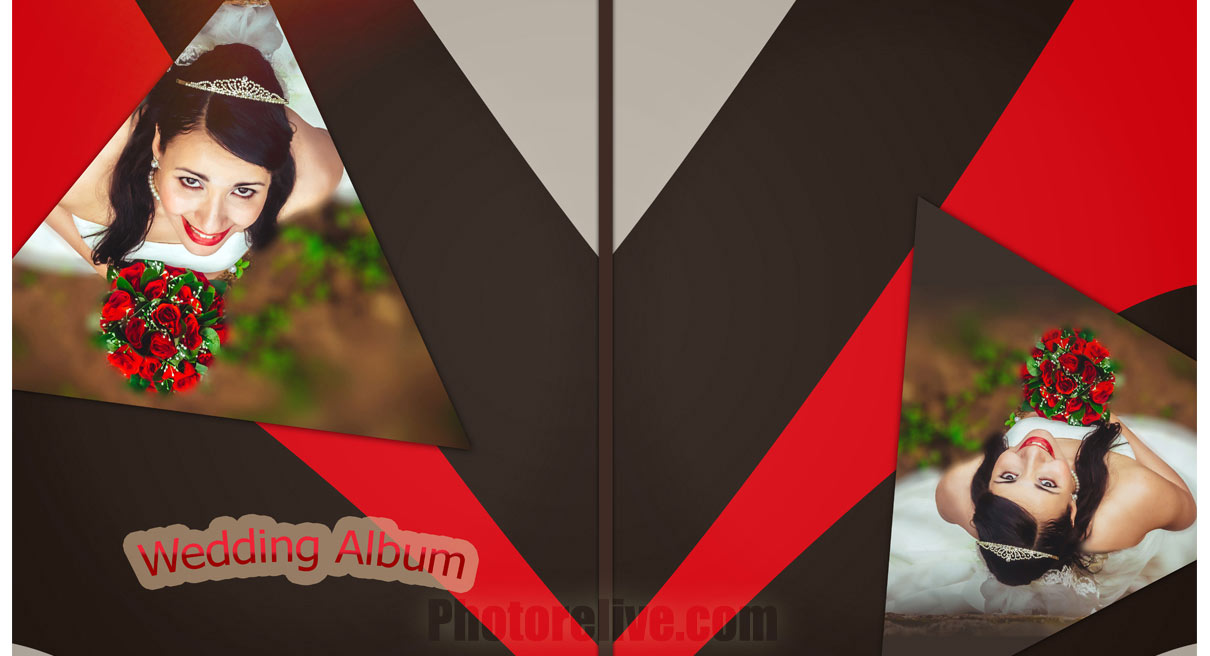 bride photo book designing service